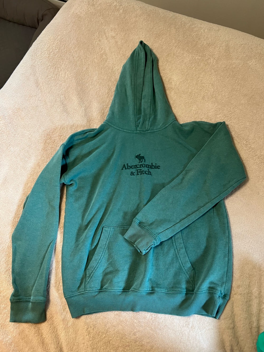 Abercrombie & Fitch Seafoam Green Embroidered Logo Sweatshirt